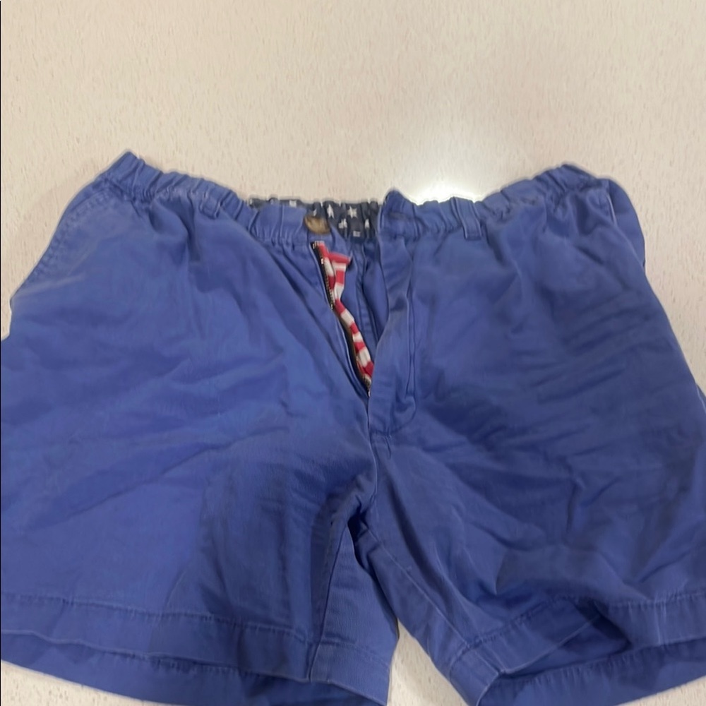 Chubbies Blue Men's Hybrid Shorts